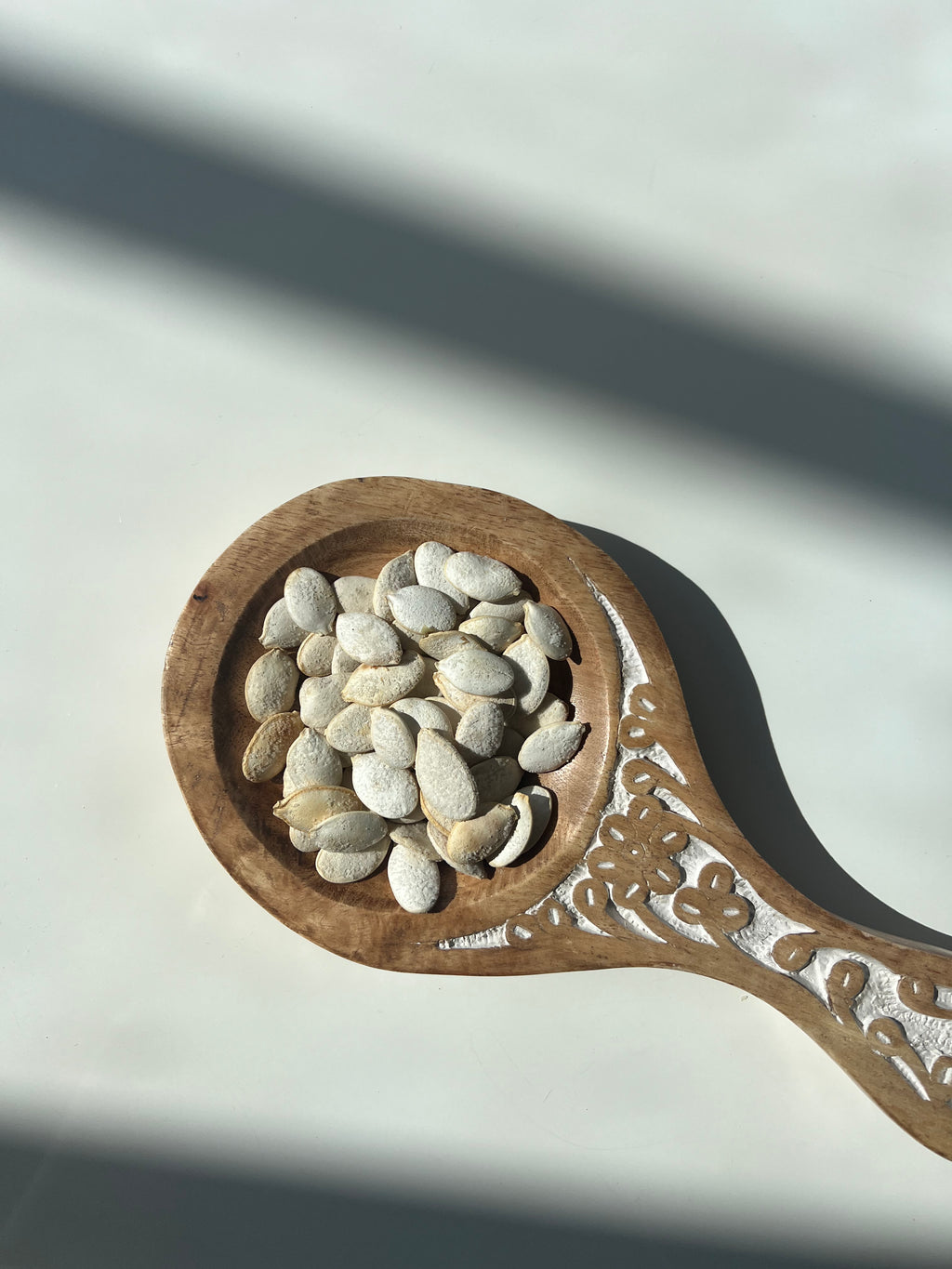 ROASTED SALTED PUMPKIN SEEDS (in shell)