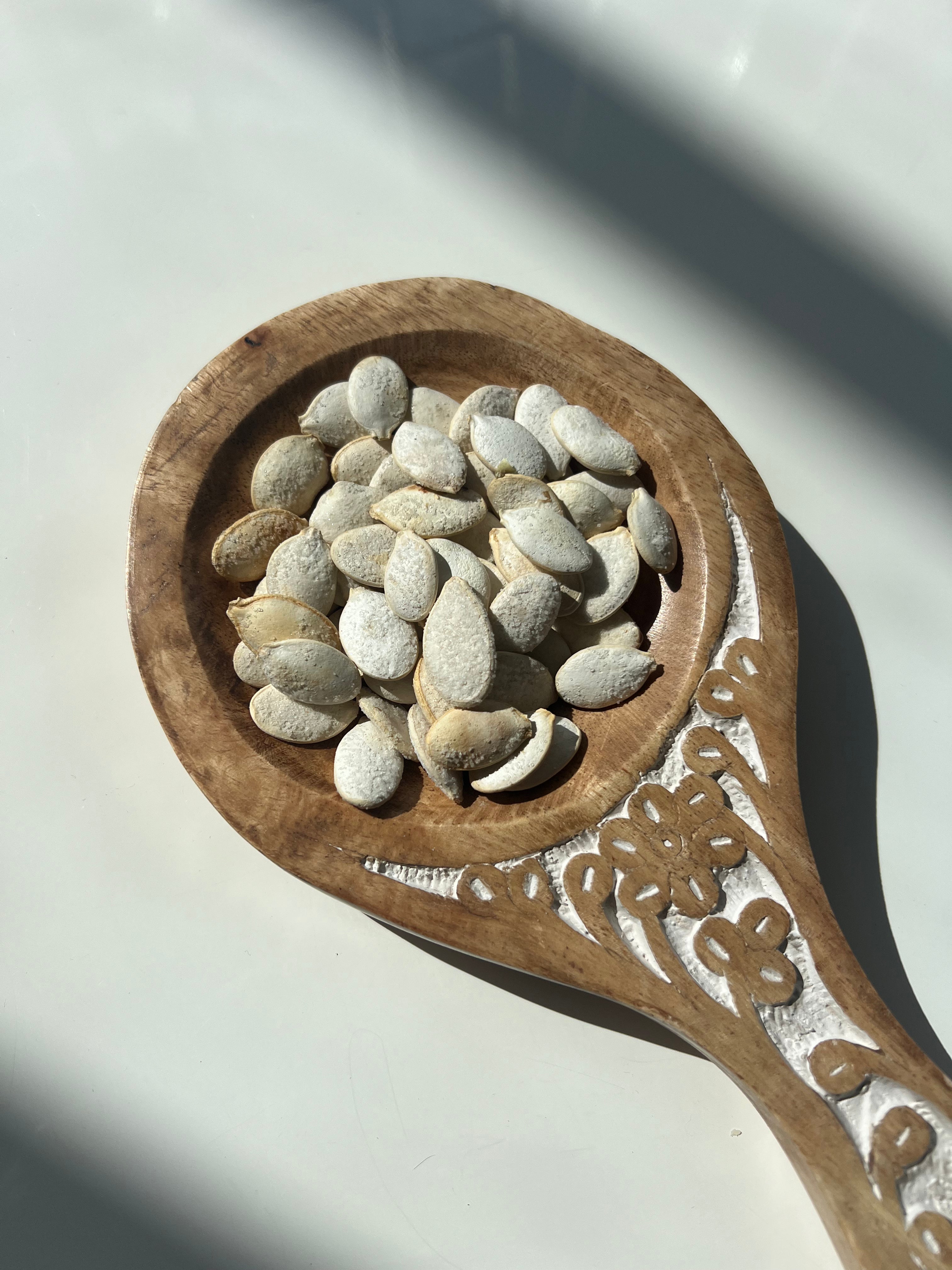ROASTED SALTED PUMPKIN SEEDS (in shell)